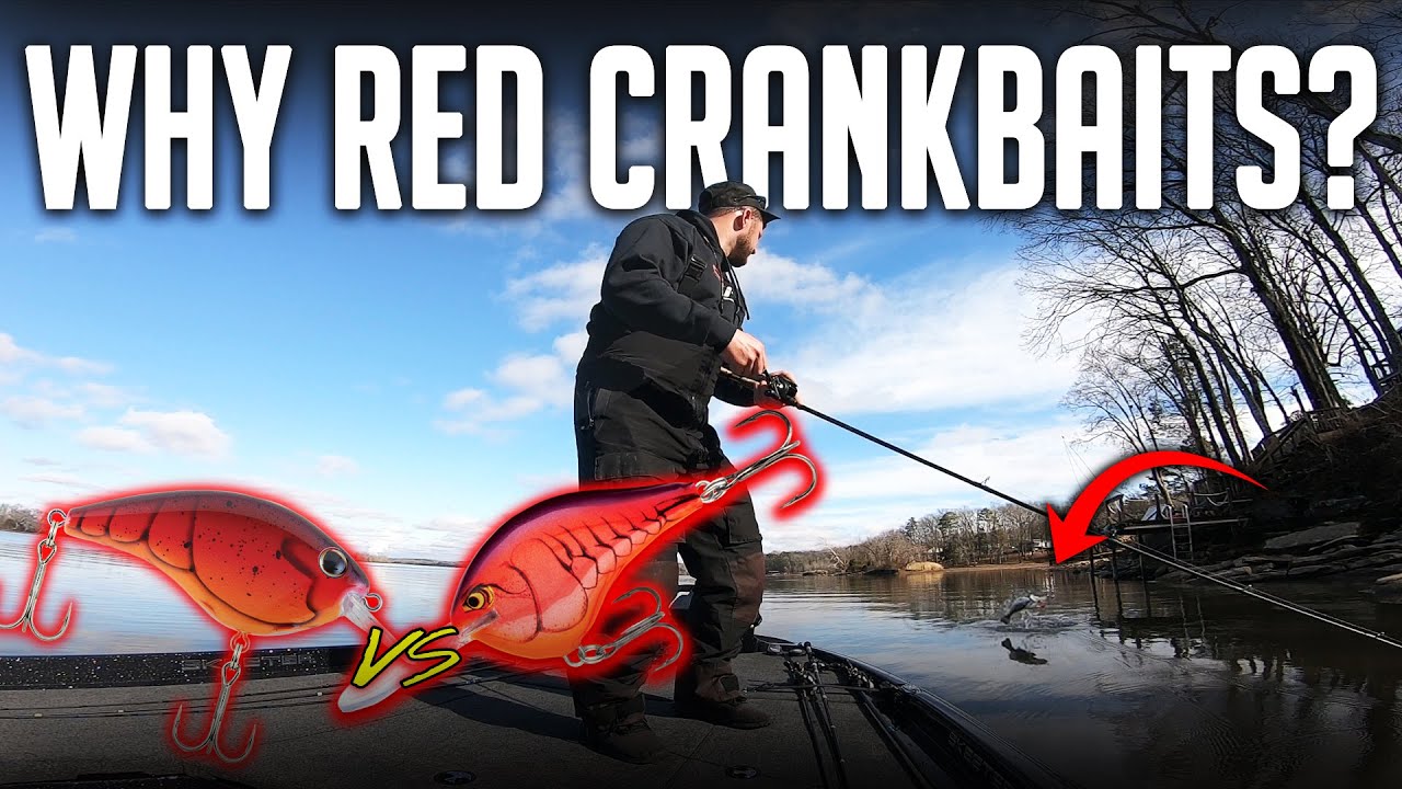 This Is Why You Use RED CRANKBAITS on Chickamauga Lake!