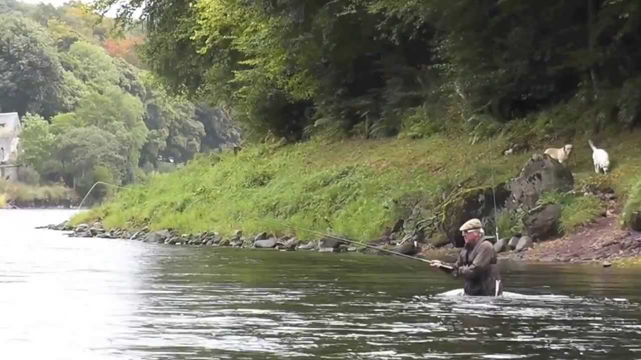Salmon Fishing Scotland Autumn Salmon Fly Fishing on the lower Tay, Perthshire, Scotland 2013.