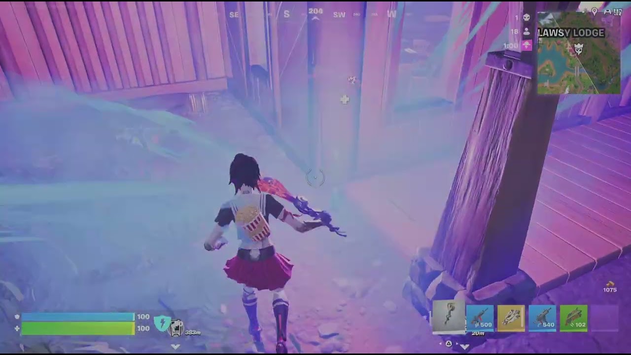 Fortnite_a safe crown win.