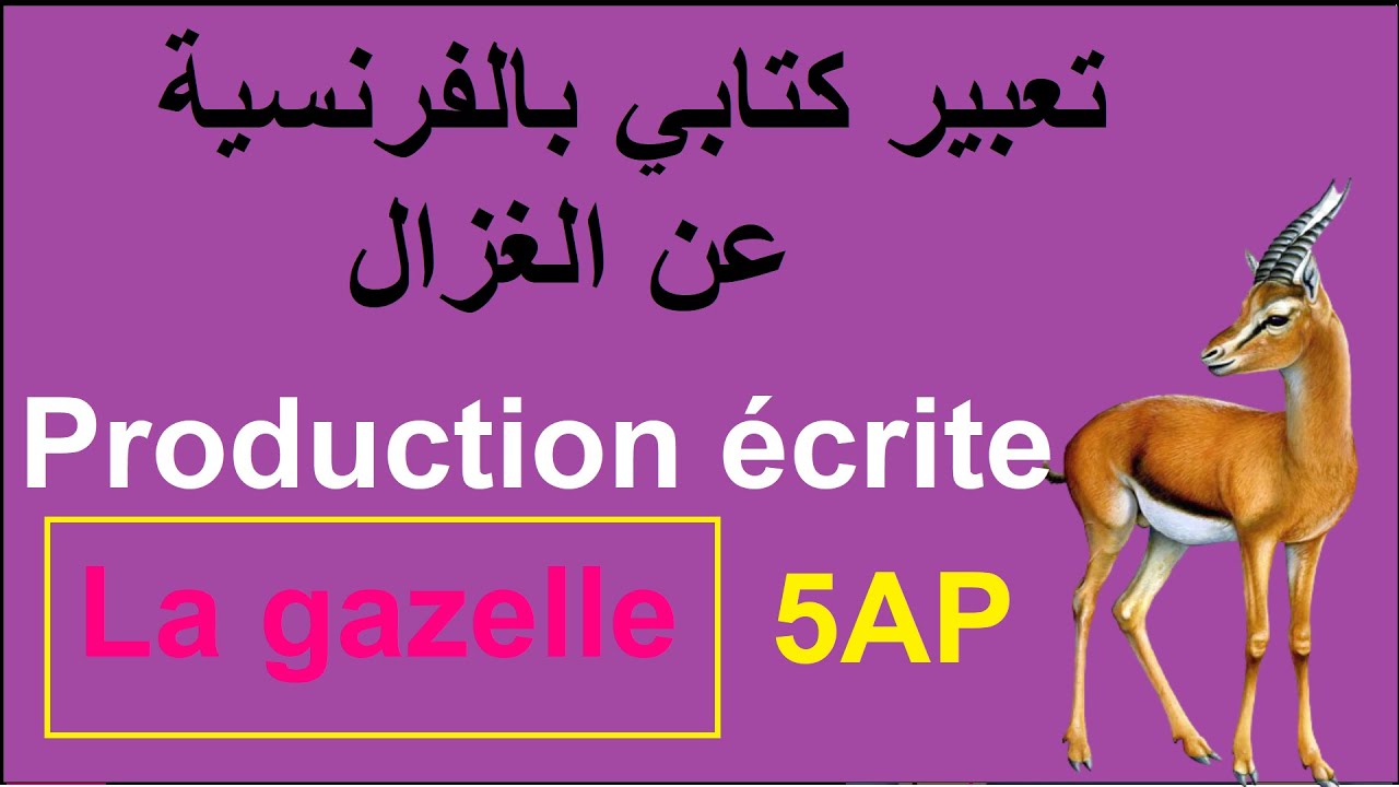 تعبير كتابي بالفرنسية عن الغزال لسنة الخامسة ابتدائي #production  écrite de la gazelle #5AP