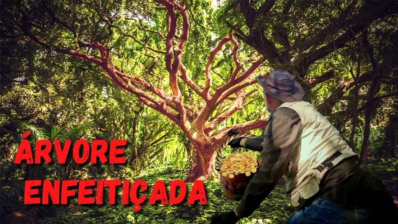 DESVENDAMOS grande MISTÉRIO de baixo da ÁRVORE ENCANTADA