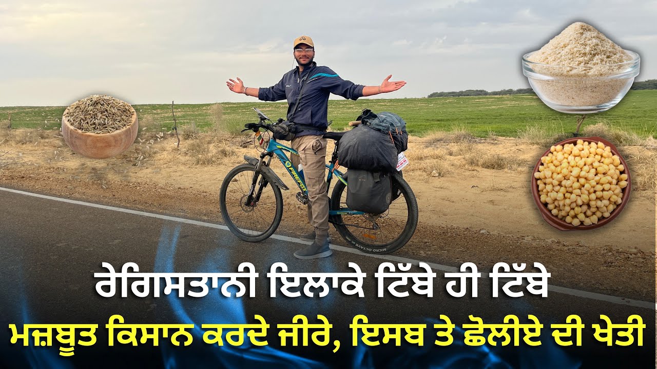 ਰੇਗਿਸਤਾਨ ਵਿੱਚ ਸੋਨਾ ਉਗਿਆ’ ਜੀਰੇ, ਇਸਬ ਤੇ ਛੋਲ਼ੀਏ ਦੀ ਕਮਾਲ ਖੇਤੀ 🫂। Nishu Hiker 🇮🇳 