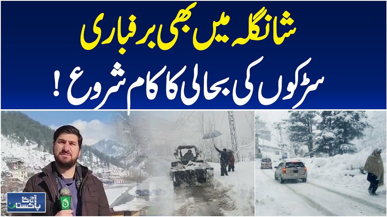Shangla Snow Update | Road Clearance Starts | Heavy Snowfall Report | Aaj Pakistan News
