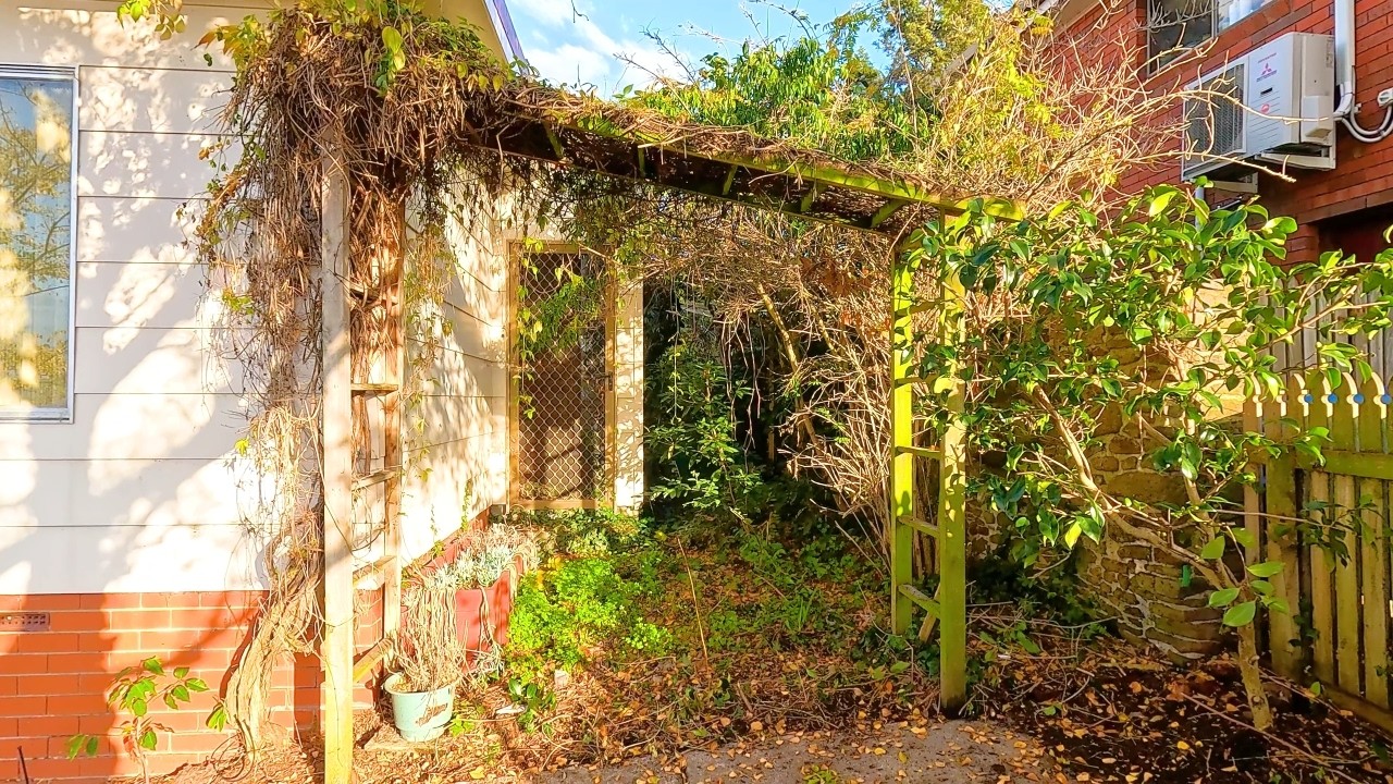 The Most SATISFYING Yard Cleanup You Have Seen This YEAR! (Part 2)