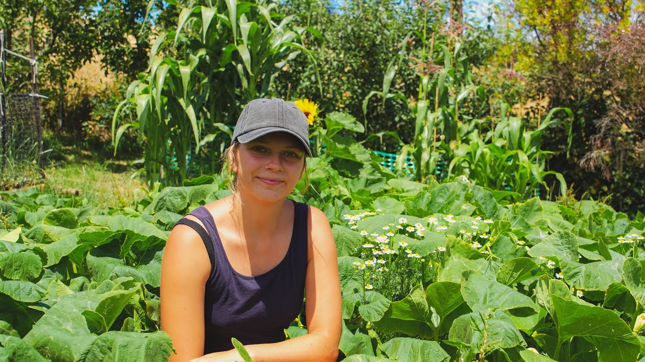 A Surprise In The Garden & Unleashing The Chicks - Homestead Vlog