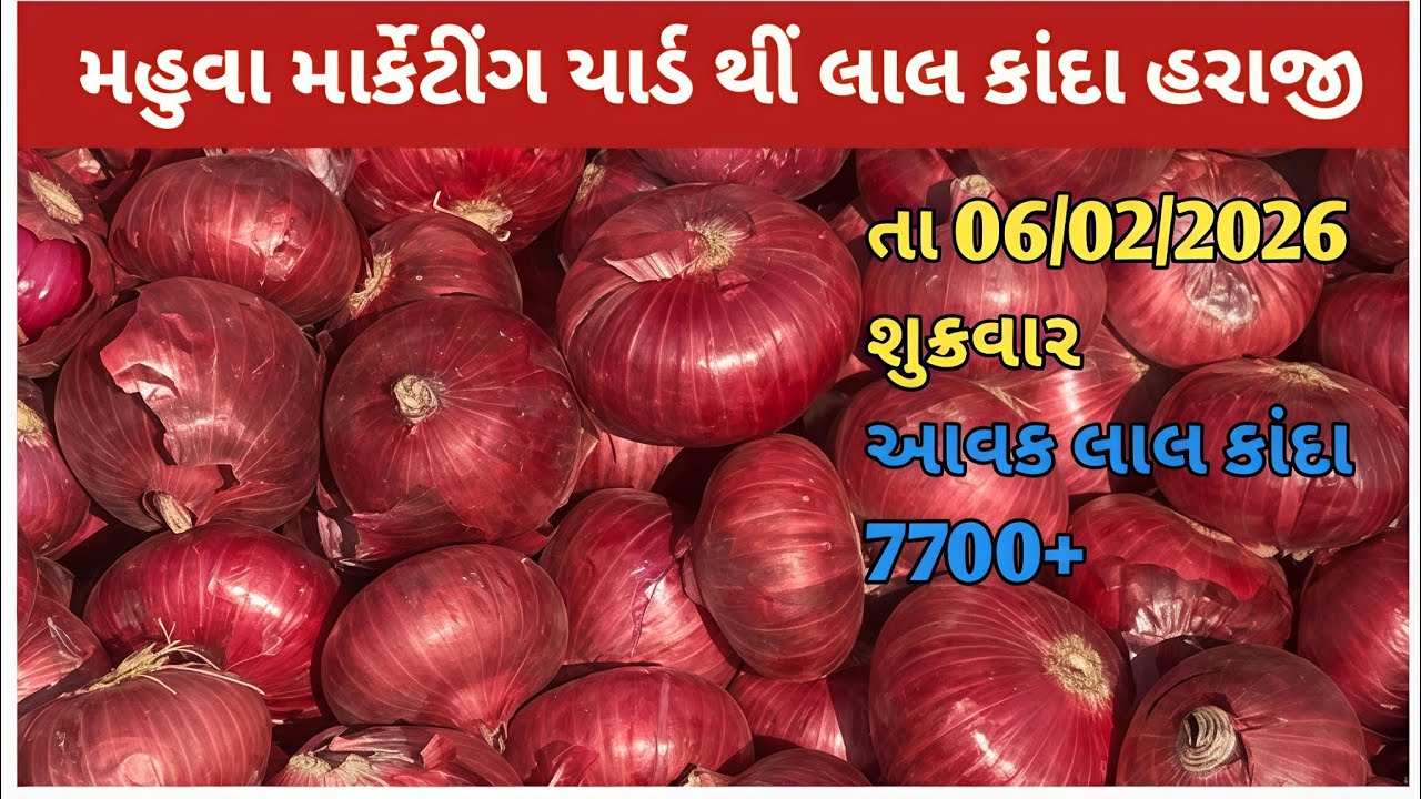 મહુવા થી લાલ કાંદા હરાજી ભાવ 🔥 185.🔥 || APMC MAHUVA || તા 06/03/2026 #mahuvaonion #bajurbhav  