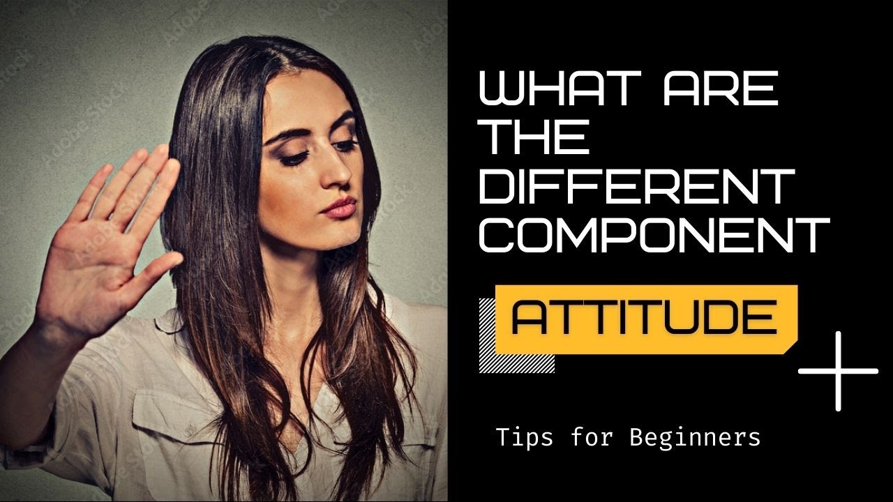 What Are The Different Component Of Attitude? | Cognitive, Affective & Behavioral Components!!