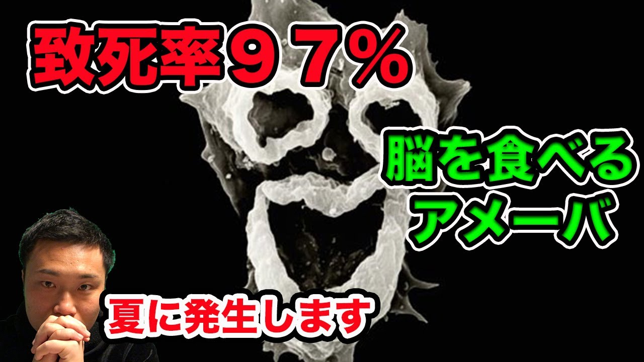 【致死率９７％】脳を食うアメーバ！人へ感染！ネグレリア・フォーレリ。夏の水温の高い湖や池、プールや水道も危険！