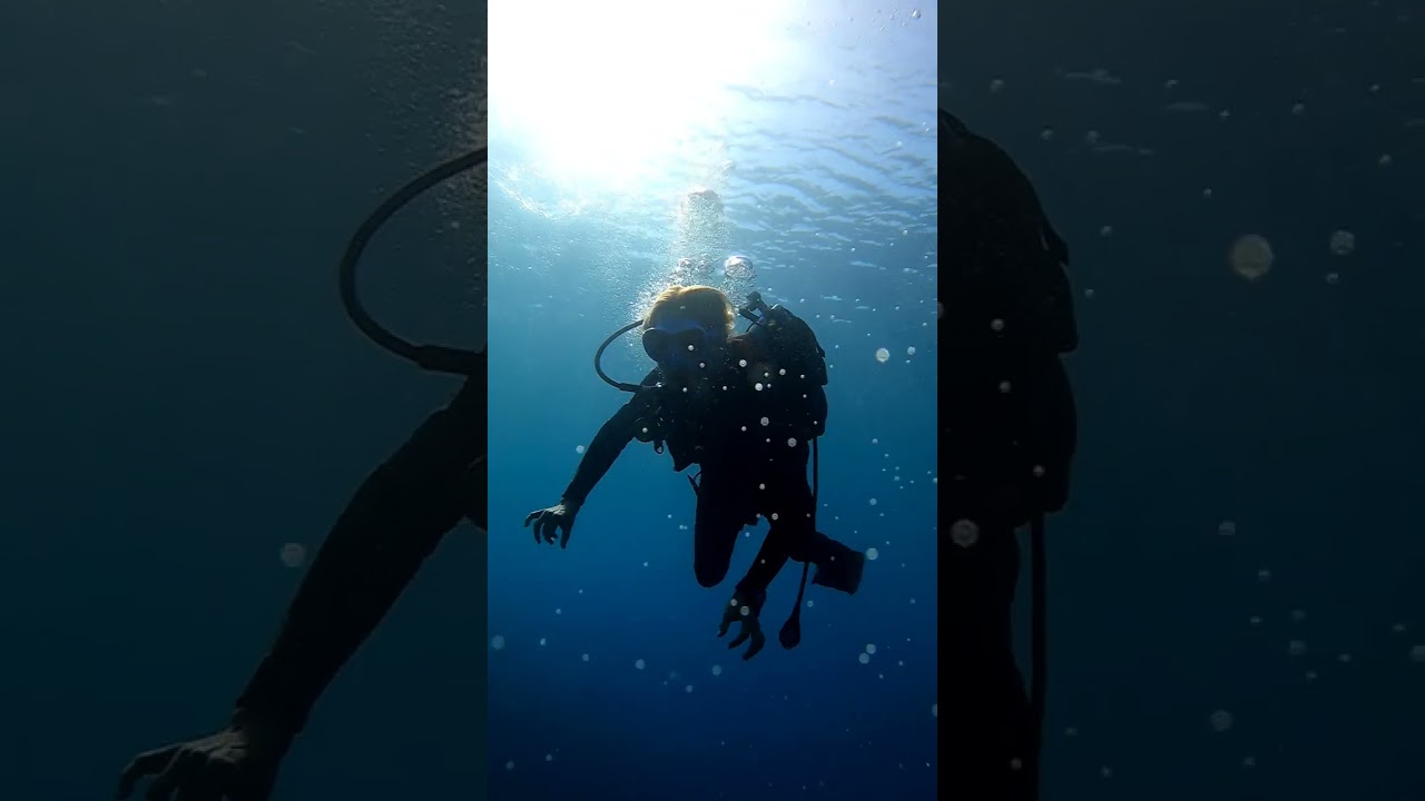 Tenerife. Underwater. Diving in Radazul 