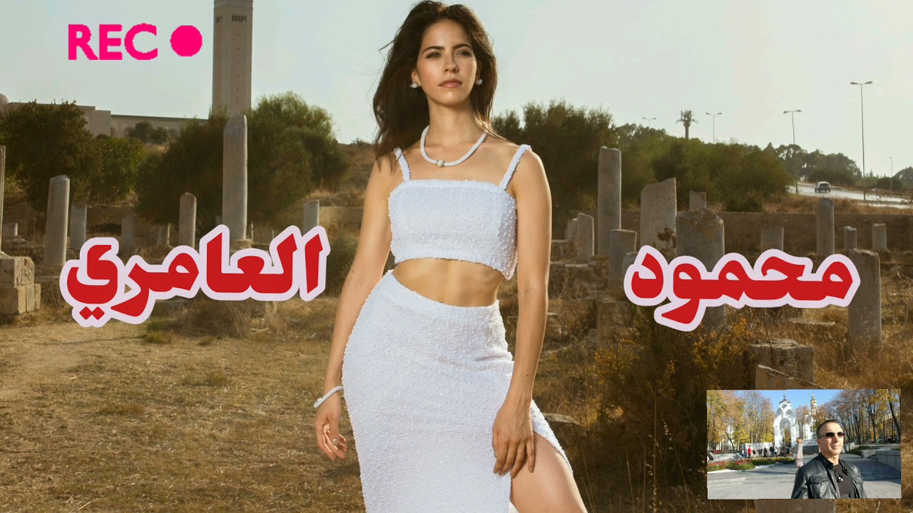 الفنان محمود العامري - ياعين كافي تبجين حبابج صاروا بعيدين