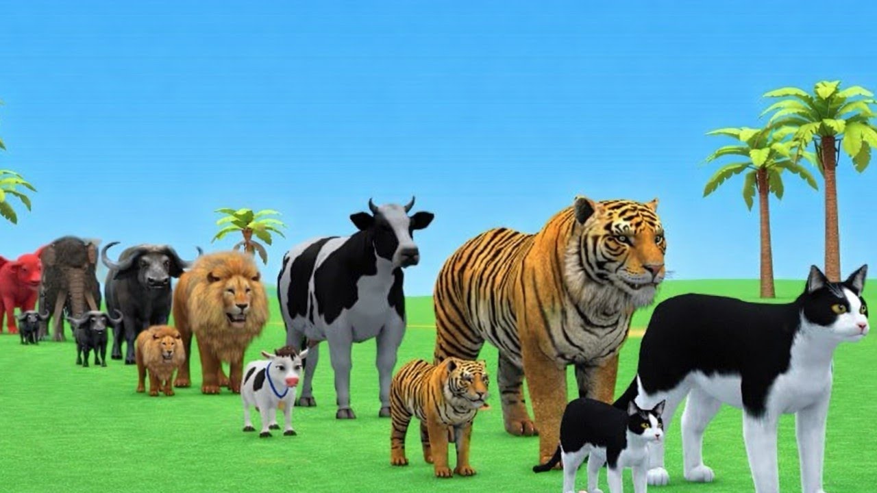 Long Slide Animal Game | Funny 3D Animals Cartoon animation for Kids