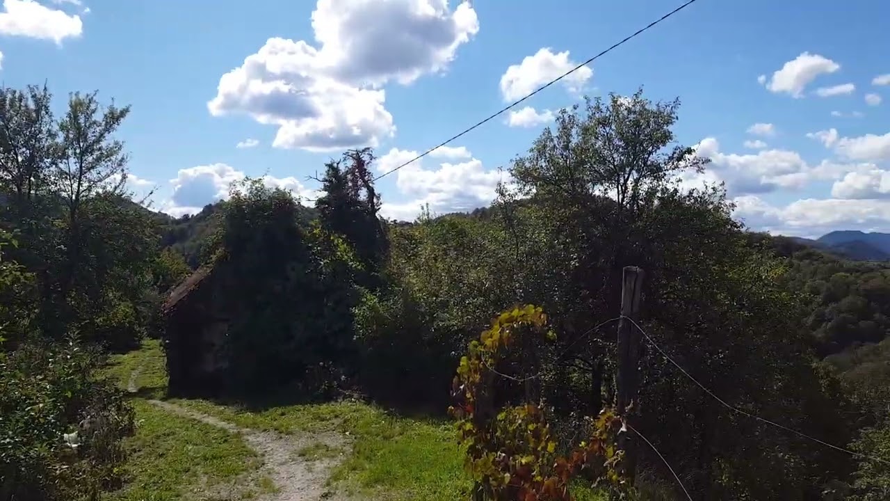 Peaceful place in the #Haloze Region of #slovenia famous for its #wine