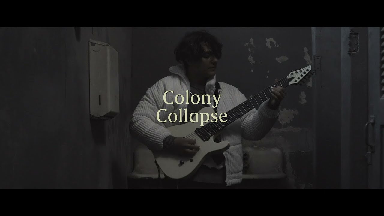Colony Collapse - 