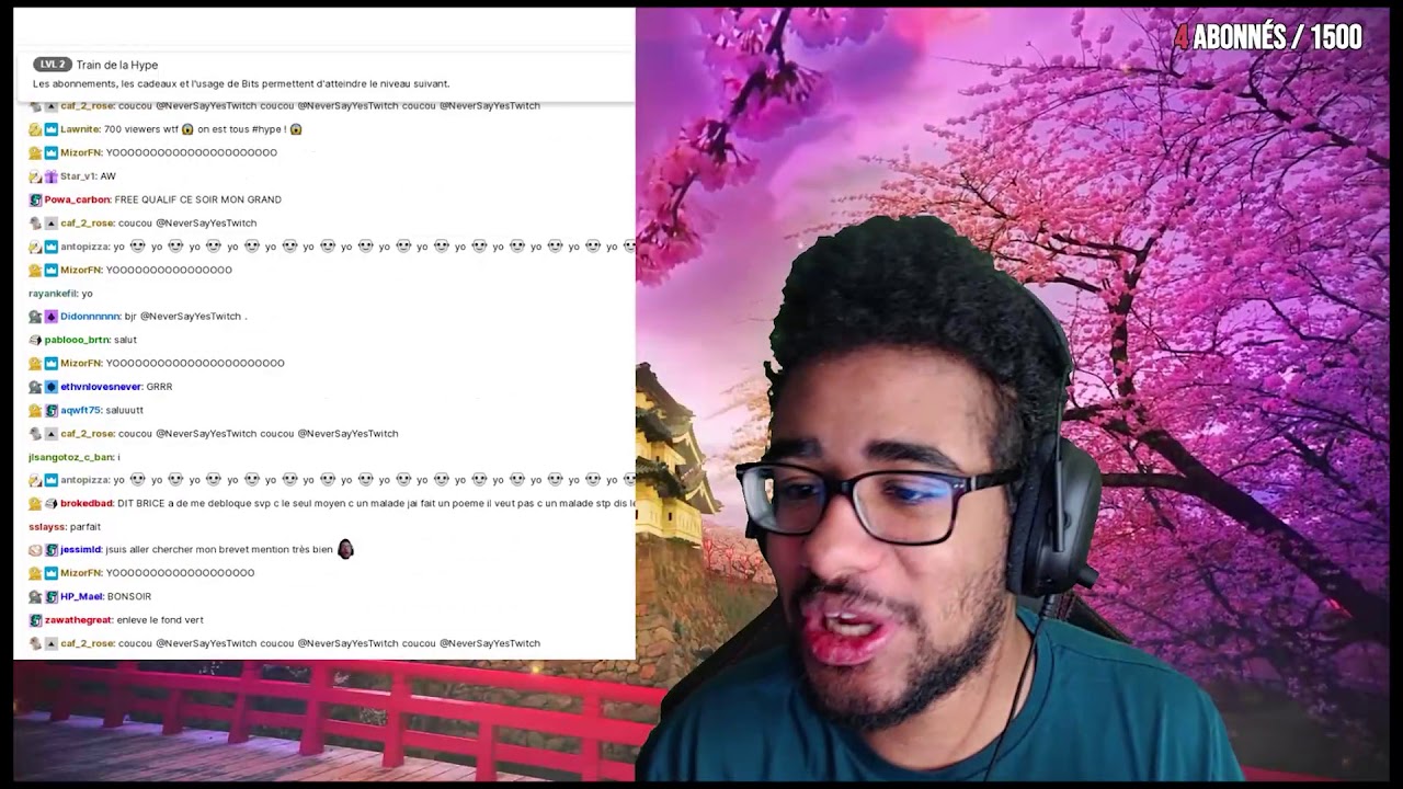 EXCUSE POUR NEVERSAYYES + REMÉMORATION ( YOUYOU )