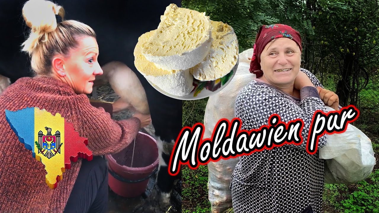 Entdeckung Moldawiens: Dorfleben hautnah | Kuhmelken, Frischk&auml;se herstellen & Wintervorbereitung