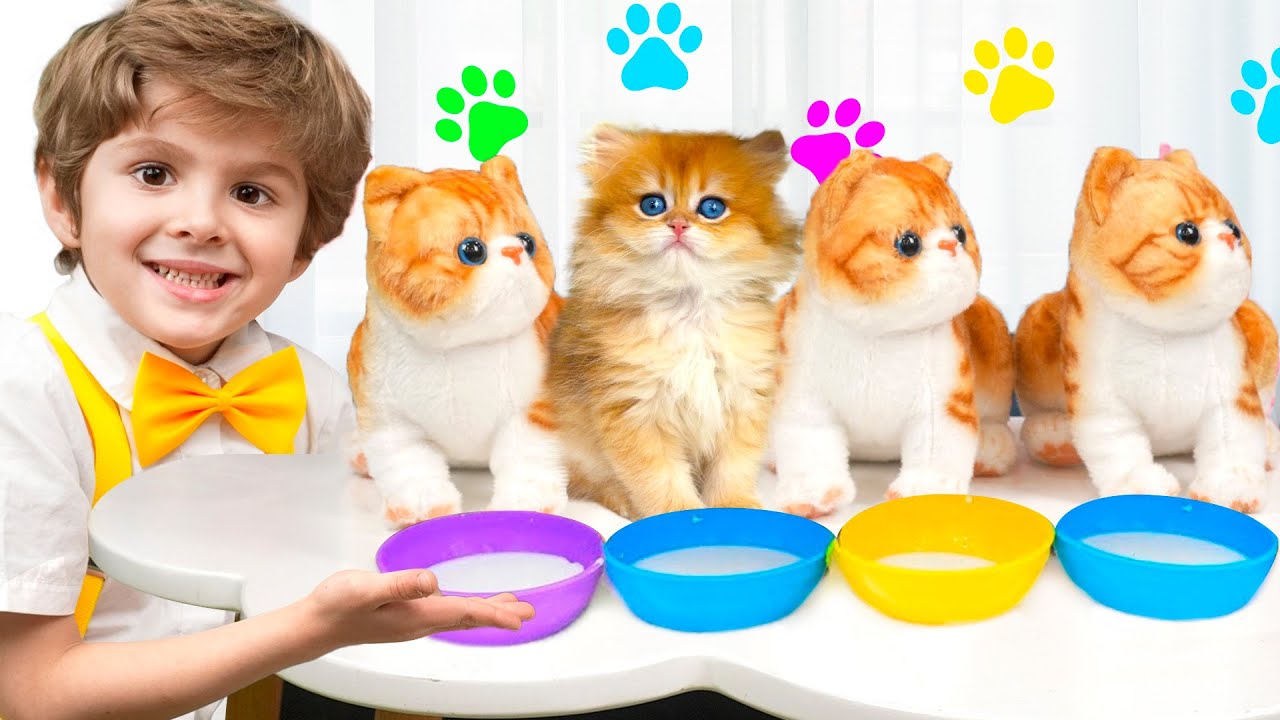 Eva dan adik laki-lakinya ingin mempunyai hewan peliharaan dan bermain dengan kucing