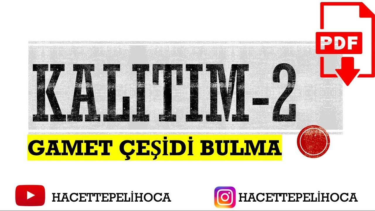 97 | KALITIM 2 | BAĞIMSIZ VE BAĞLI GENLERDE GAMET ÇEŞİDİ BULMA | 10. SINIF | TYT | #hacettepelihoca