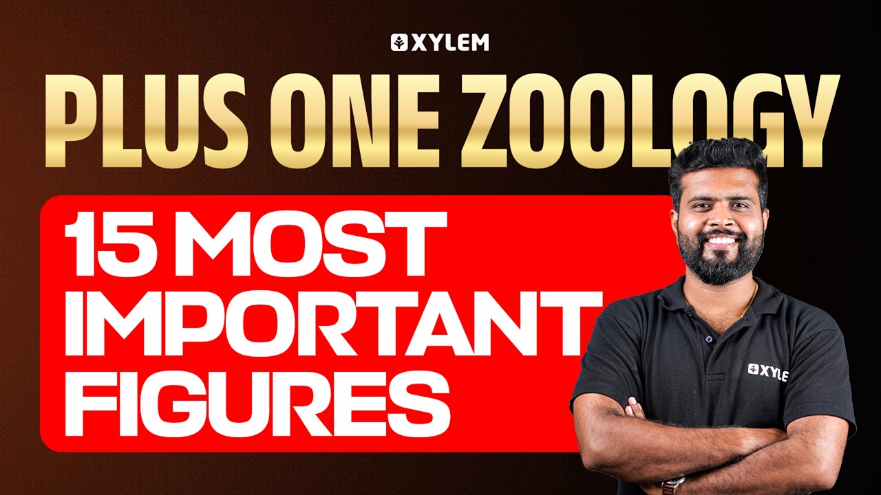 Plus One Zoology | 15 Most Important Figures | Xylem Plus One