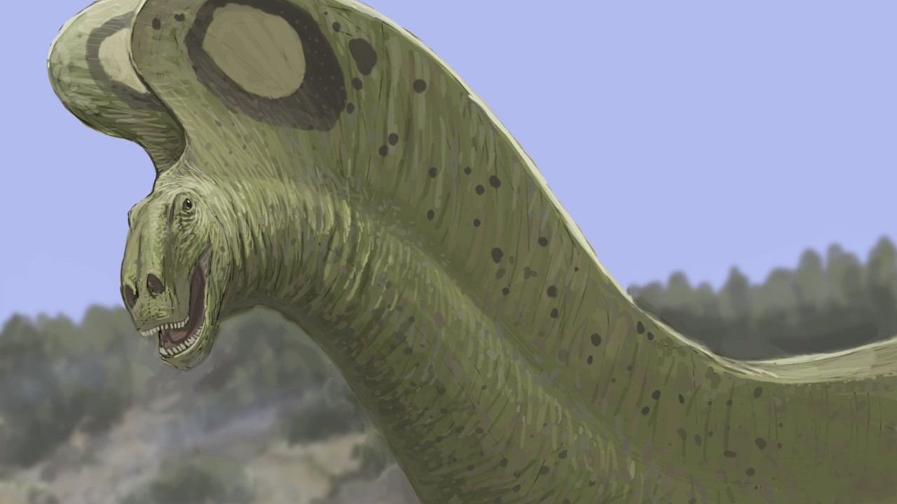 Dicraeosaurids: The Strangest Sauropod Dinosaurs