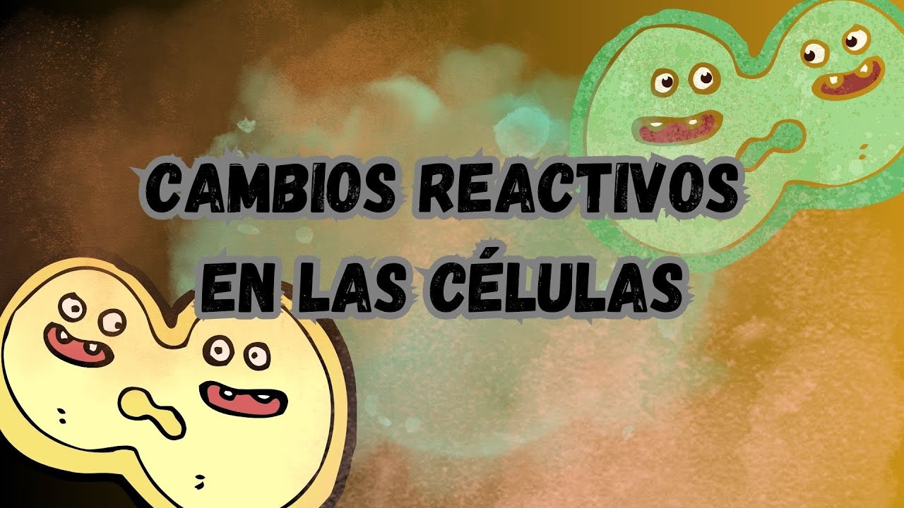 CÉLULAS REACTIVAS Y ATIPICAS