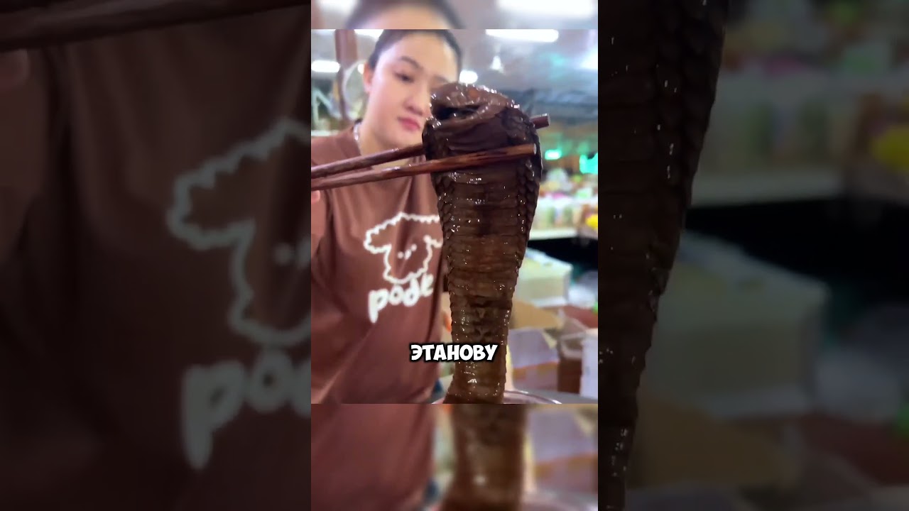Змеиное вино из Китая! 🐍🍷😱 #животные