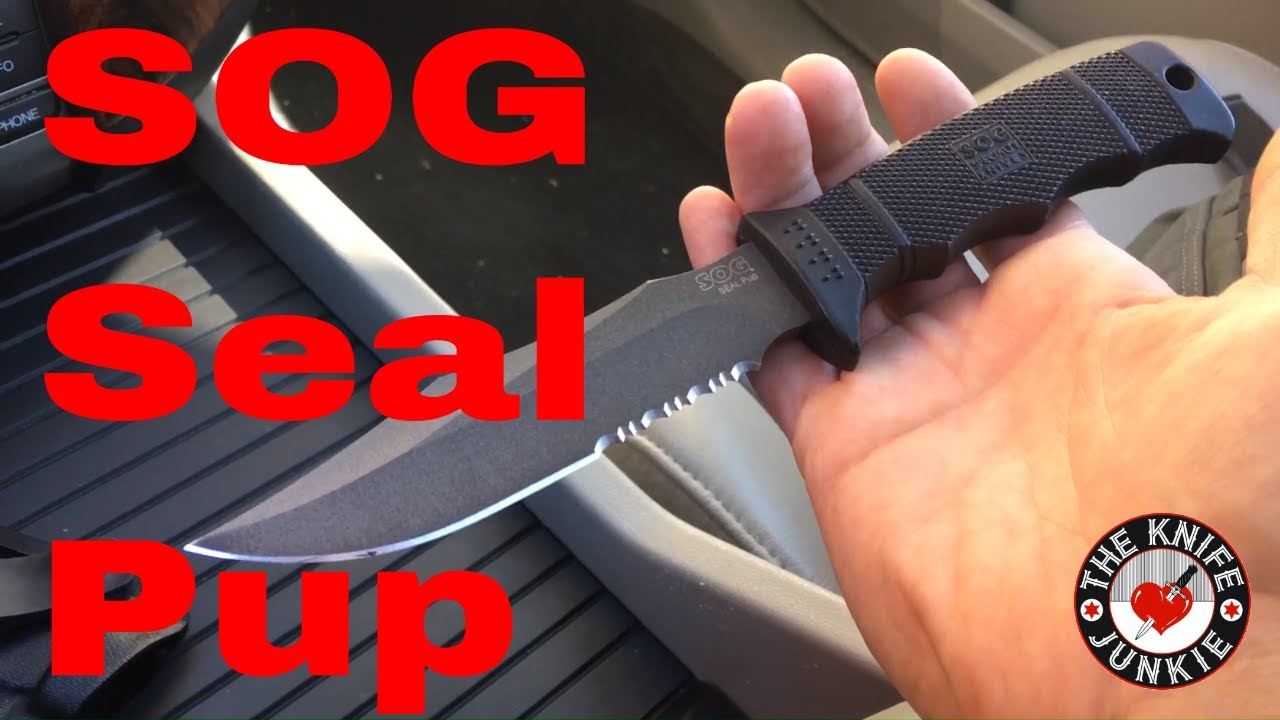 SOG Seal Pup - Collection Selection No.64