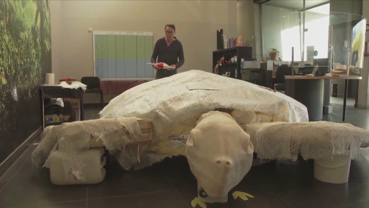 Giant turtle fossil EGV