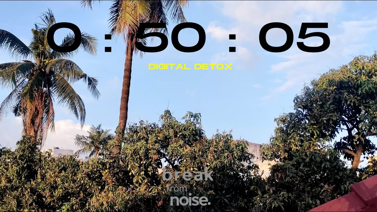 50 Minute Nature Timer (No Numbers) 🌥️  Deep Study for Digital Detox & Loneliness #relaxation