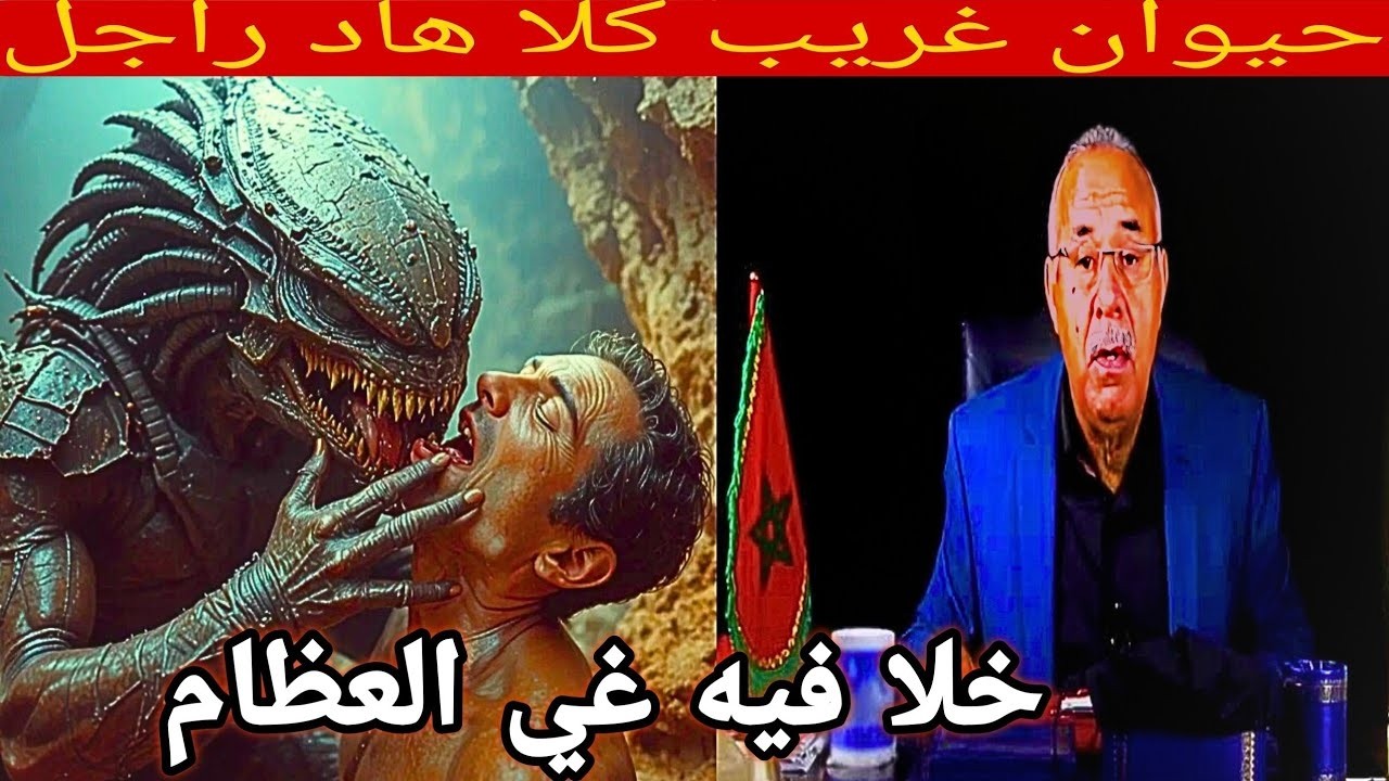 عبد القادر الخراز حيوام غريب كلا هاد الرجل خلا فيه غير العظام الخراز يحكي