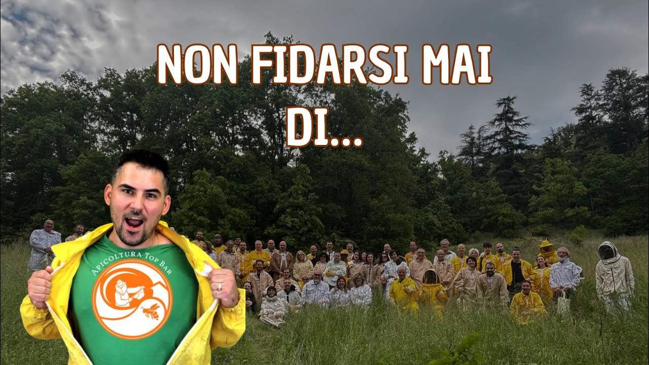 Apicoltura Naturale: Non fidarsi mai di…