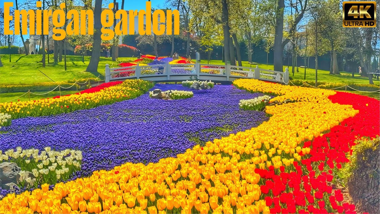 🇹🇷Istanbul, Türkiye | Walking Tour Emirgan Garden 3 | Walking in turkey| Walking |4k Ultra HD/60fps