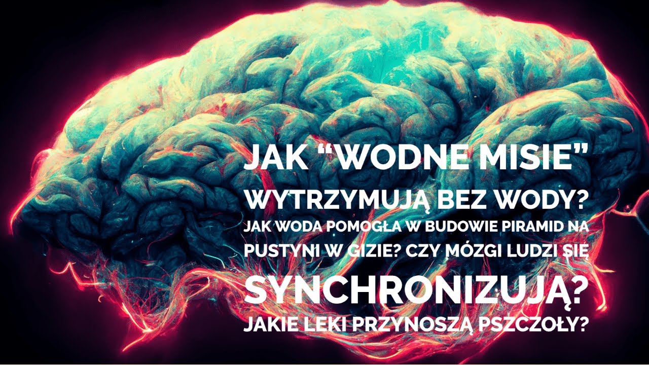 Synchronizacja fal m&oacute;zgowych, odwodnione niesporczaki i leki od pszcz&oacute;ł - #051