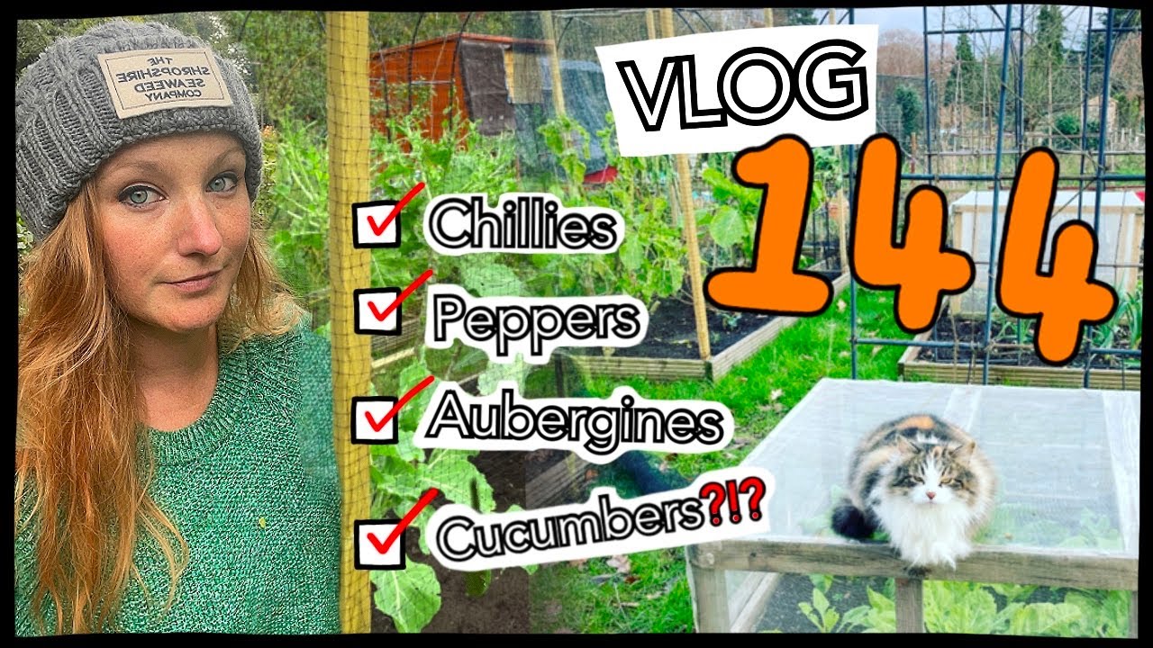 Ep144 - First Seed Sowing of the Year!! A Loganberry and shifting Compost || Plot 37