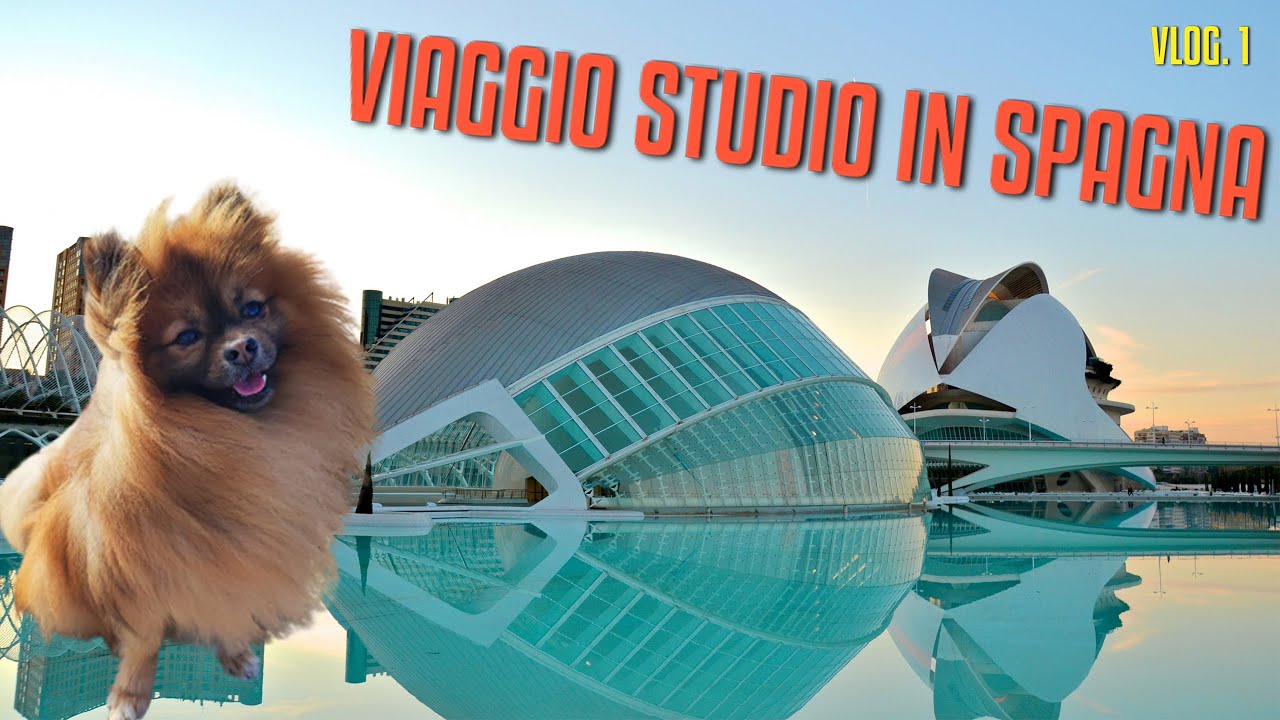La mia VACANZA STUDIO in Spagna ft. il mio cane
