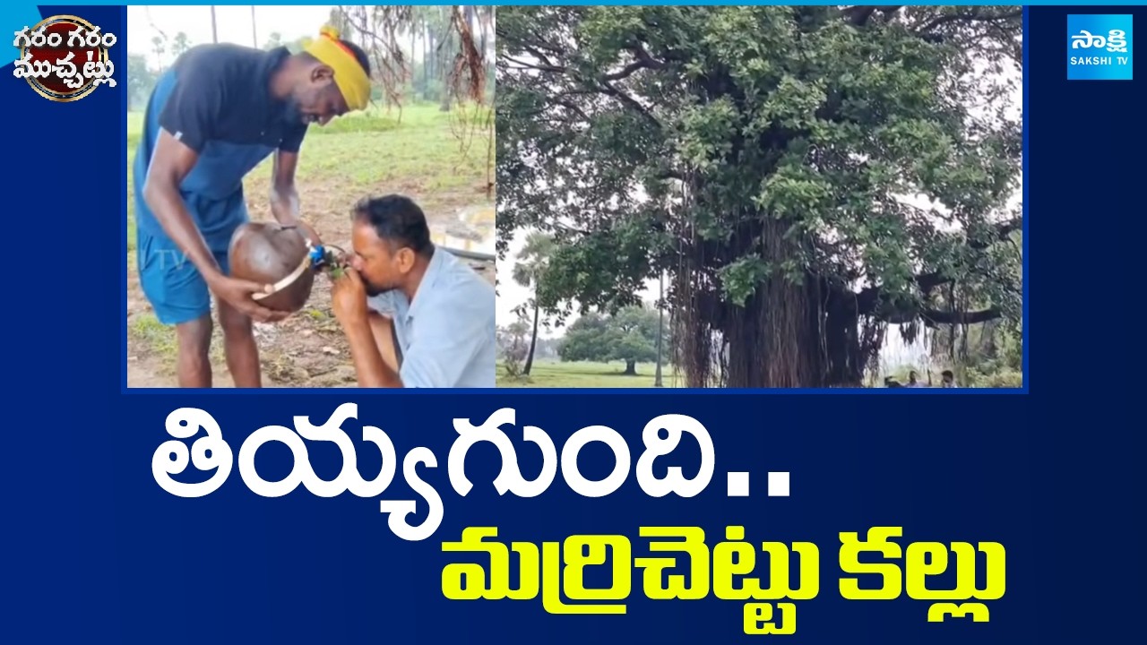 తియ్యగుంది..మర్రిచెట్టు కల్లు | Toddy From Banyan Tree | Viral Video | Garam Garam Varthalu |