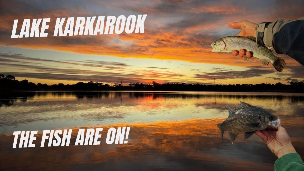 Perch and Trout Fishing At Lake Karkarook