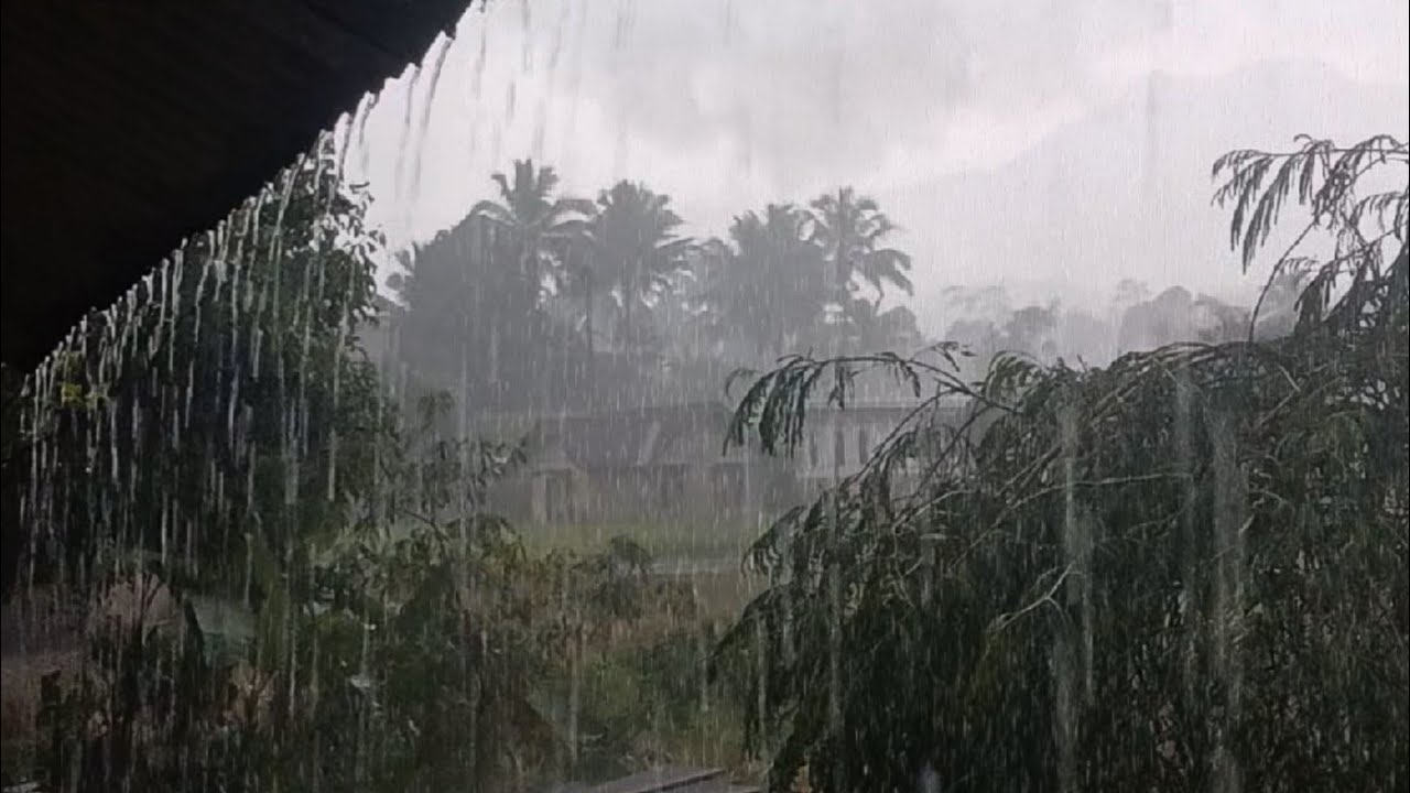 Звуки сильного дождя 🌧️ Быстрый глубокий сон | Успокаивающая атмосфера дождя для снятия стресса