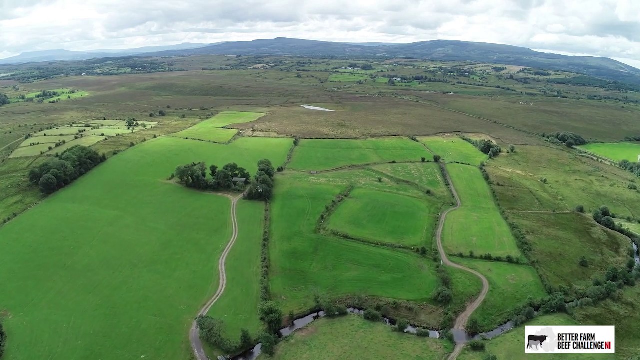 BETTER Farm NI - Major grassland improvement in Fermanagh