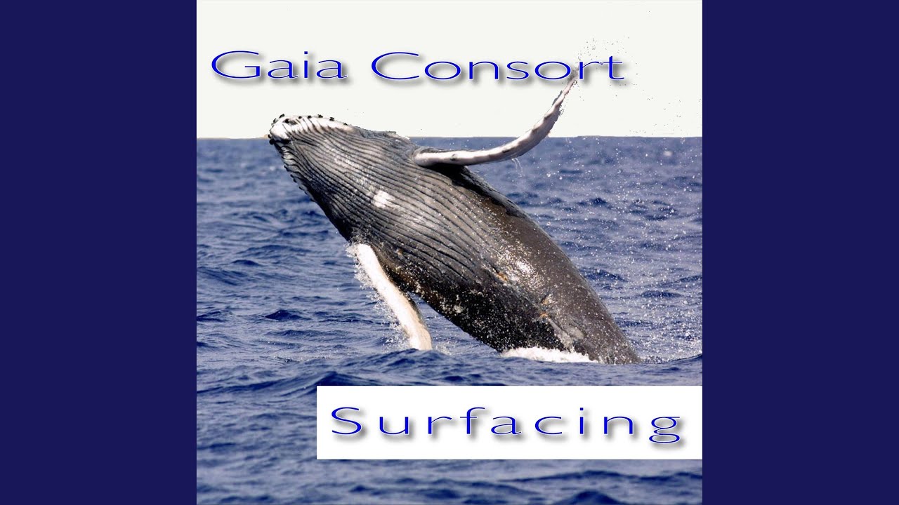Surfacing