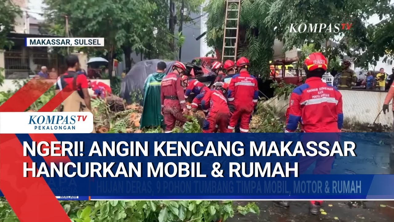 Hancur Tertimpa Pohon! Angin Kencang Makassar Terjang Mobil dan Rumah