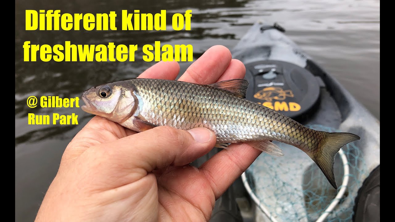 Lake Wheatley Freshwater Slam