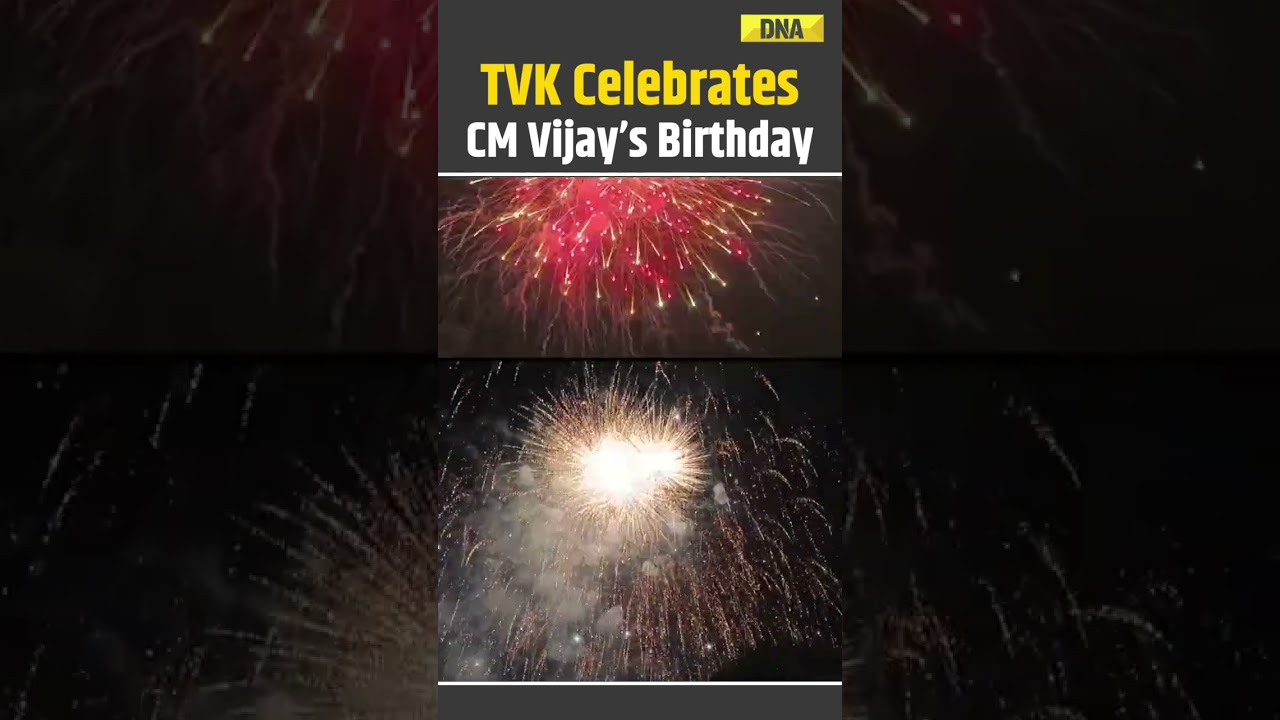TVK Party Members Organise Grand Birthday celebration For CM Vijay In Sivakasi | Vijay Birthday