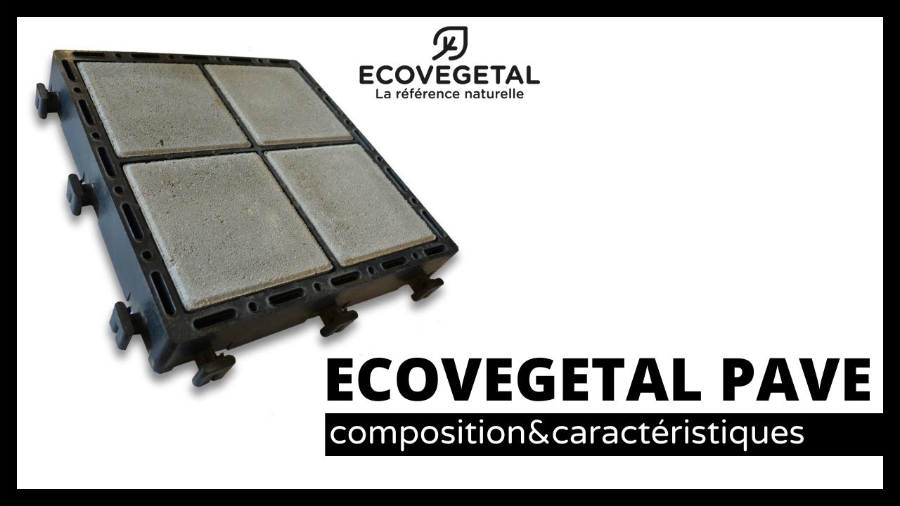 ECOVEGETAL PAVE : composition et caractéristiques du système