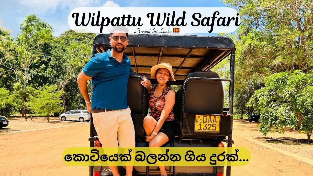 Wilpattu Wild Safari | Sri Lankan Leopard | Wilpattu National Park | Safari | Around Sri Lanka 🇱🇰