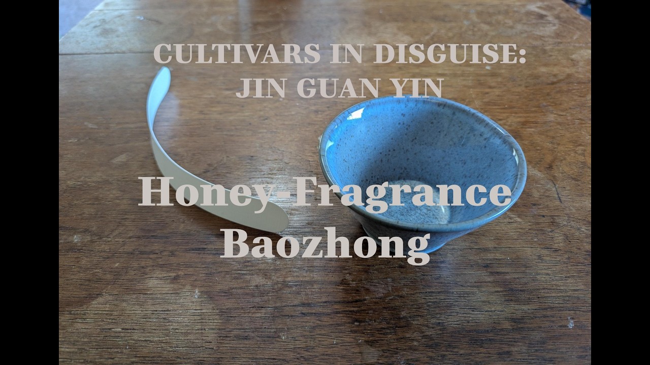 Cultivars in Disguise: Jin Guan Yin Honey-Fragrance Baozhong