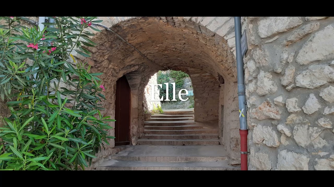 Elle Marie Noëlle