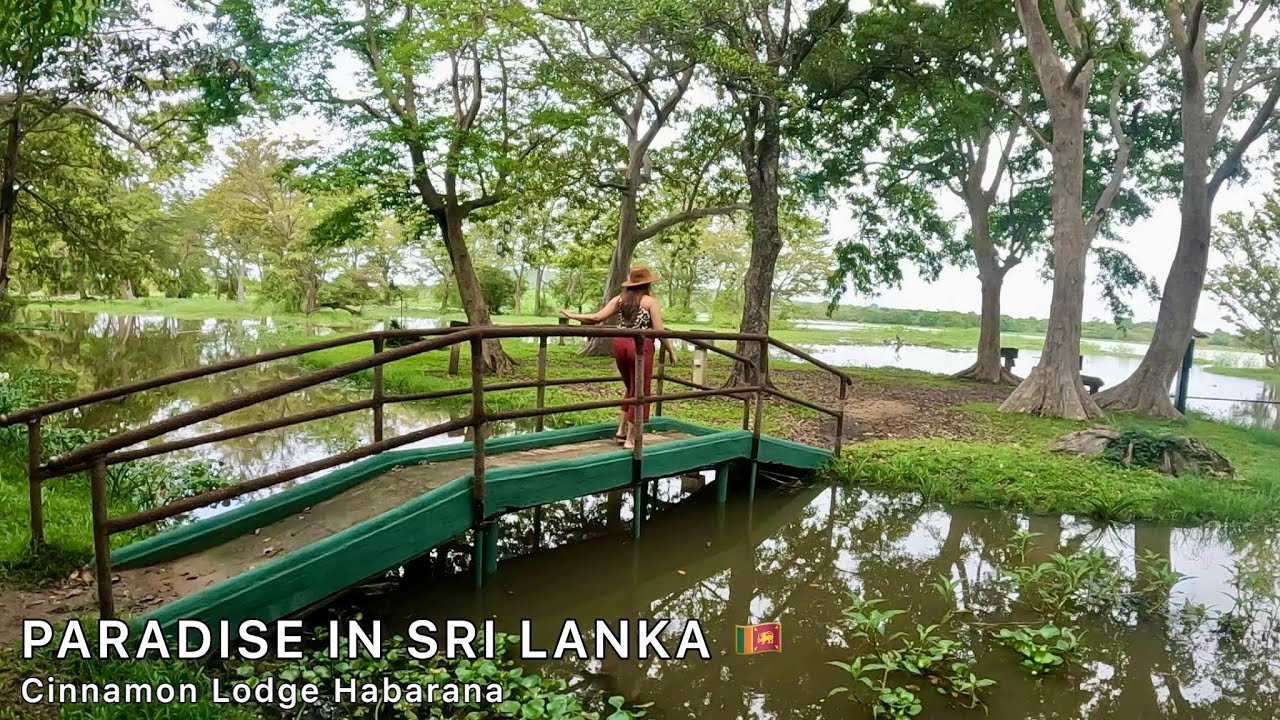 Cinnamon Lodge Habarana A paradise in Sri Lanka🇱🇰| Full hotel tour