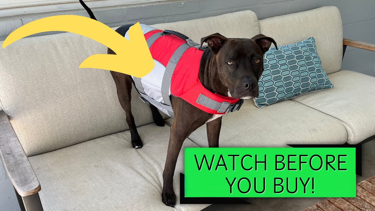 Honest Review of the Mklhgty Dog Life Jacket