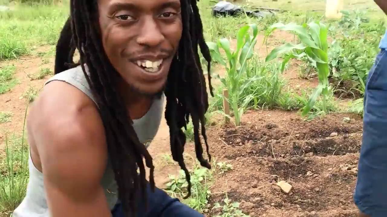 Ras Haitrm visits Organic Farmer in Swaziland