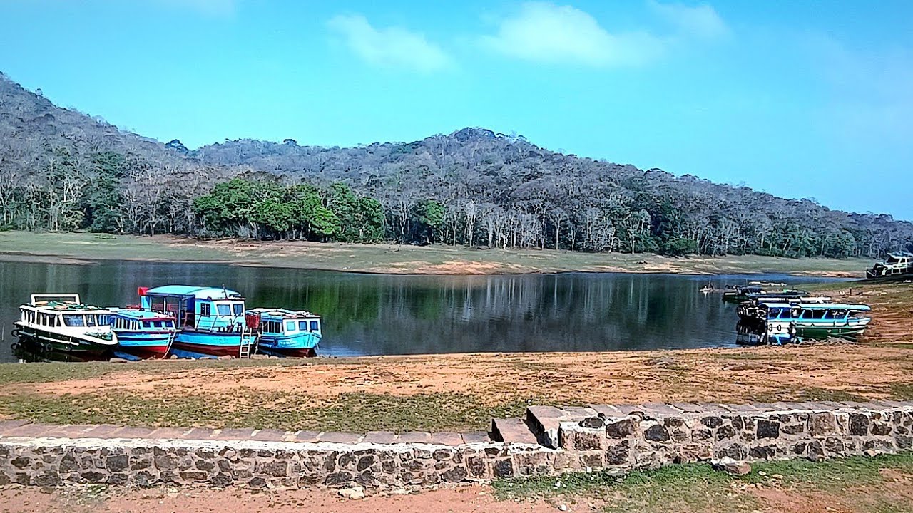 #cruising😍 at#periyar🩵🌍#lake🌎II the most #Spectacular😍#event🌴💖I in your trip to #Thekkedy🌴💝I #kerala